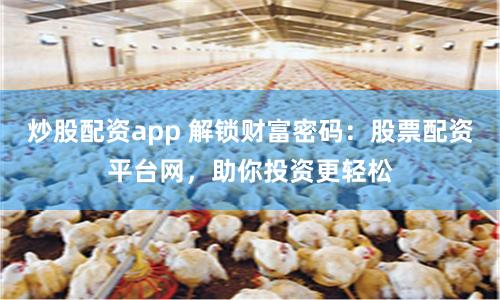炒股配资app 解锁财富密码：股票配资平台网，助你投资更轻松