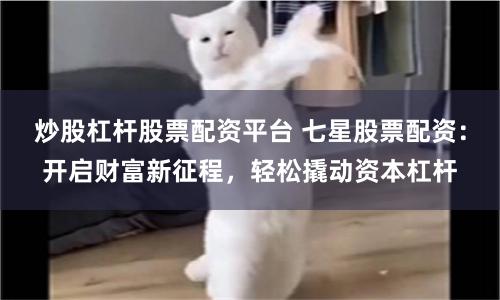 炒股杠杆股票配资平台 七星股票配资:开启财富新征程,轻松撬动资本杠杆