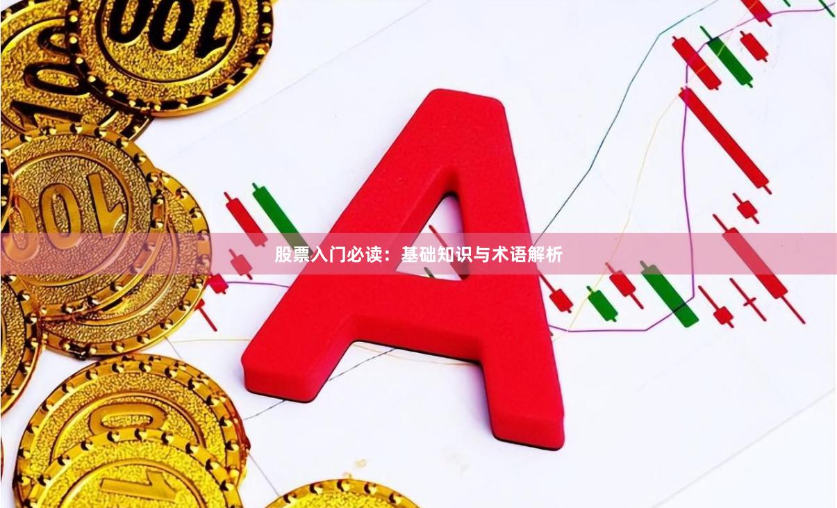 股票入门必读:基础知识与术语解析