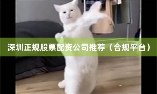 深圳正规股票配资公司推荐（合规平台）